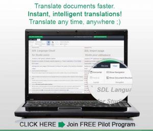 Online Translation Editor