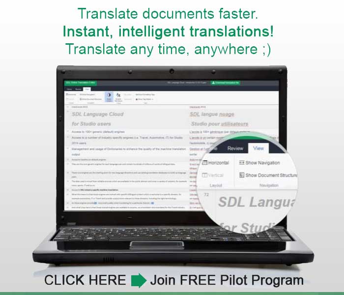 How to Become a Sought After Virtual Assistant Translator